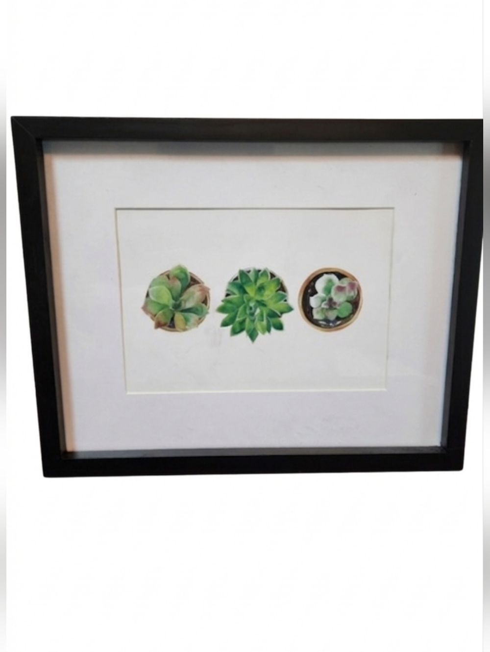 Succulents plants framed art print black frame with three succulent plants NWT